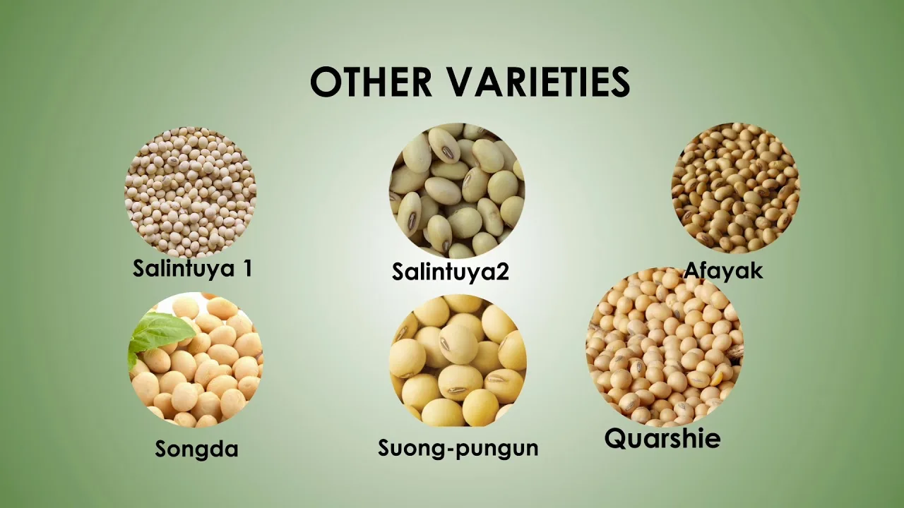 Organic Soybean Cake