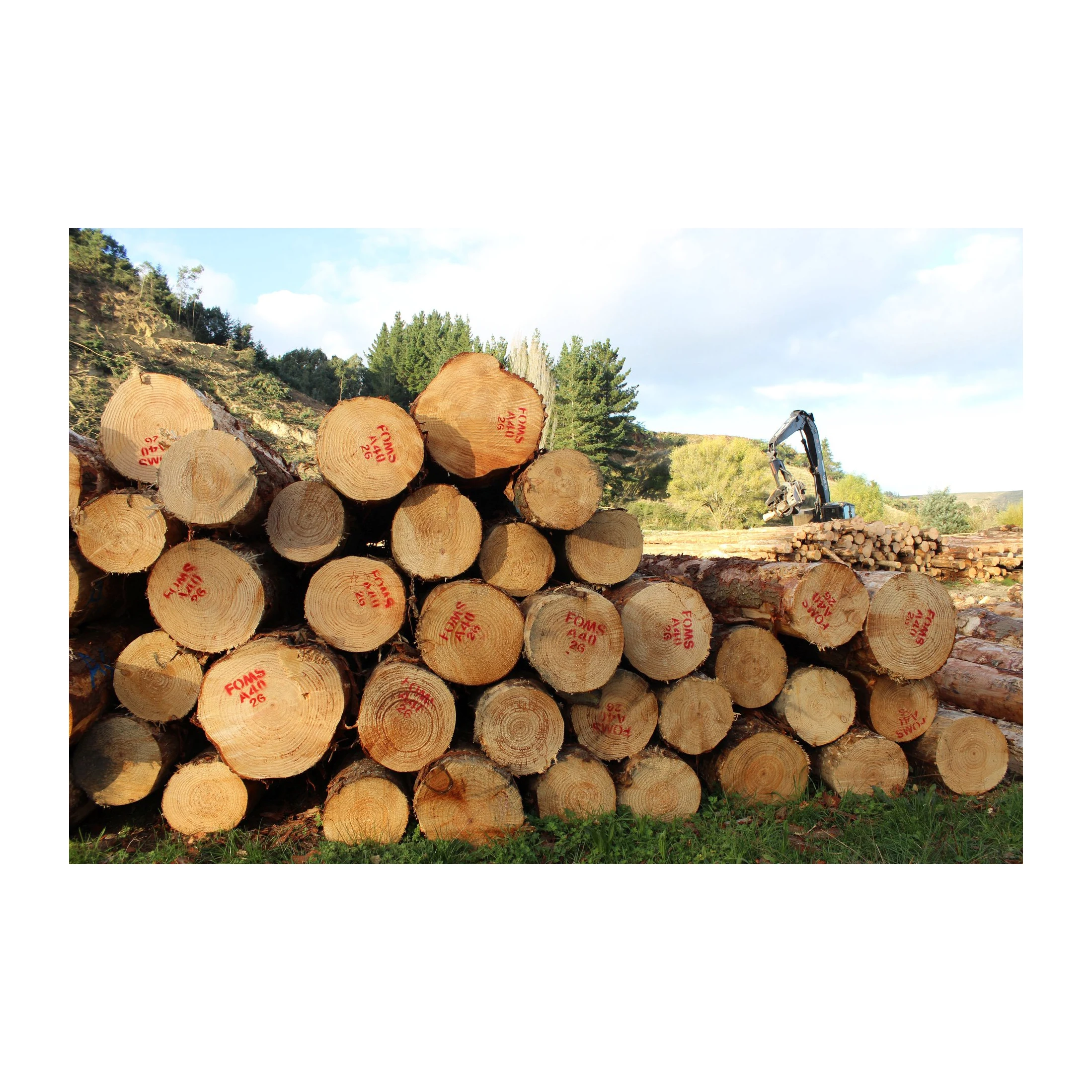 2x4 Упаковочная древесина тополь древесная фанера для строительства