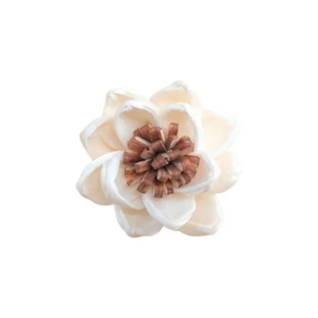 Chrysanthemum Sola Wood Flowers Artificial Dried Wholesale Handicraft Home Decor Decoration Thailand Reed Diffuser