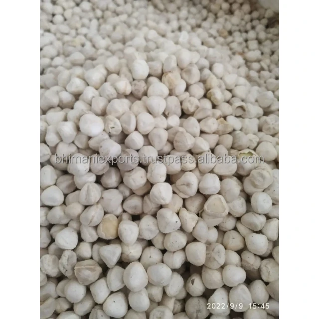 Top Grade India MORINGA SEED WHOLESALE with HIGH QUALITY and COMPETITIVE PRICE direct from factory