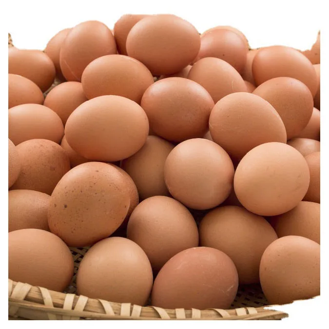 Оптовая продажа яйца для куриного стола продукты животного происхождения лучшие цены лучшее качество ферма свежие куриные столовые