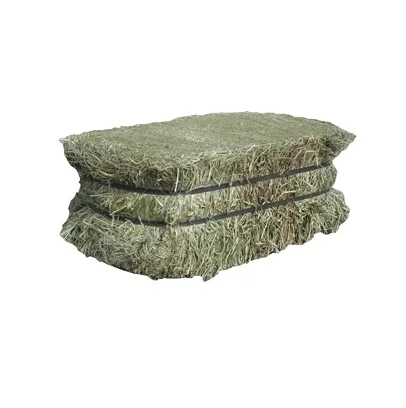 Quality Timothy Hay Quality Alfalfa Hay/ Timothy Hay/ Lucerne Clover in Bales