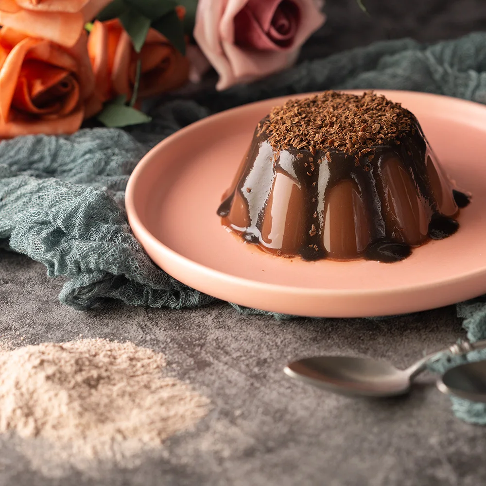 SIGNWIN Chocolate Pudding Powder