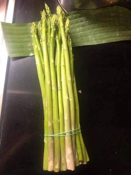 BEST SALE !!! FRESH ASPARAGUS WITH HIGH STANDARD EXPORT  AND COMPETITIVE PRICE FROM VIETNAM 2023