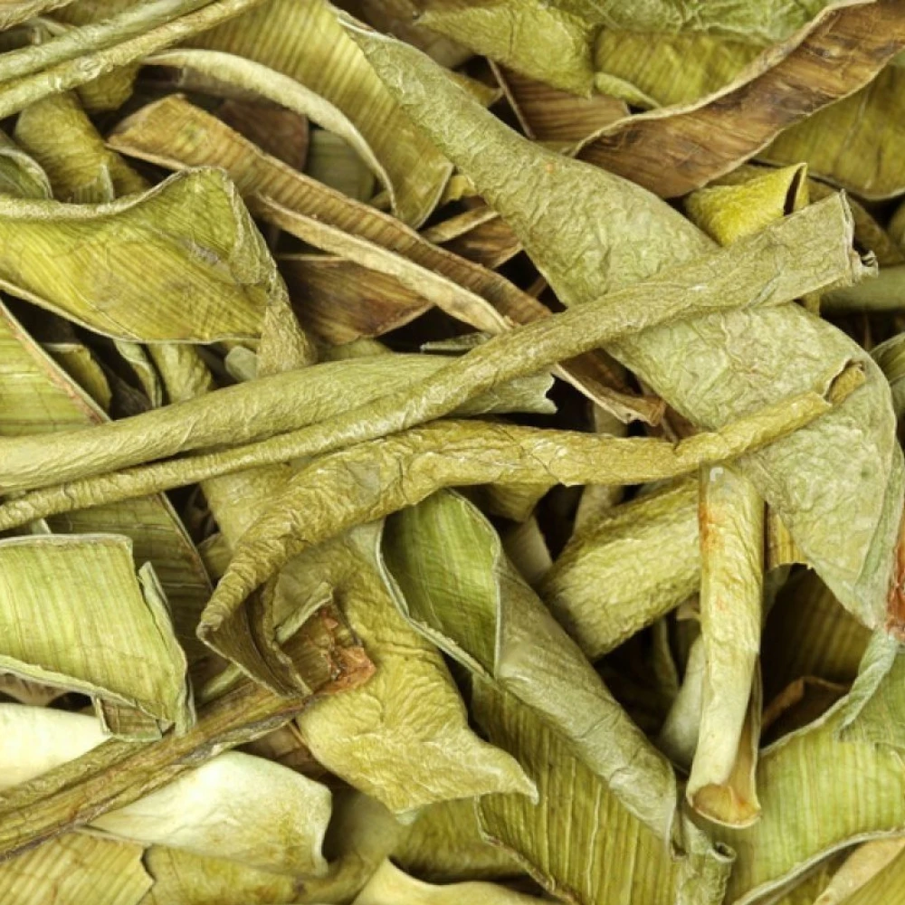 High Quality  Aloe Barbadensis miller