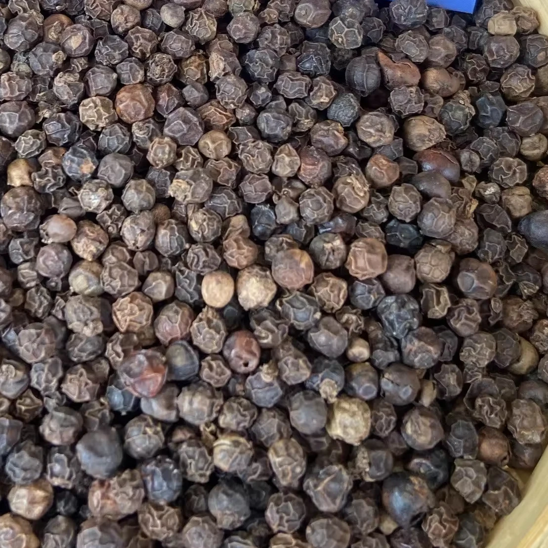 BLACK PEPPER 2024// WA +84 838 366 717 (Ms.Lyna) ALL TYPES 570 600 500 550 GL FAQ CLEAN WHOLESALE WITH BEST PRICE