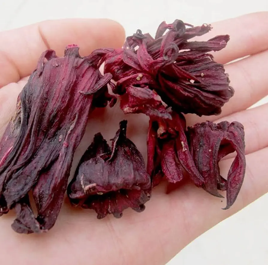 HOT HERBAL FLOWER FROM VIETNAM!!!  DRIED HIBISCUS FLOWER/ 100% FROM FRESH FLOWER/ MAKING TEA FOR YOU!!