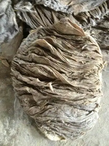 Dry Salted Beef Omasum