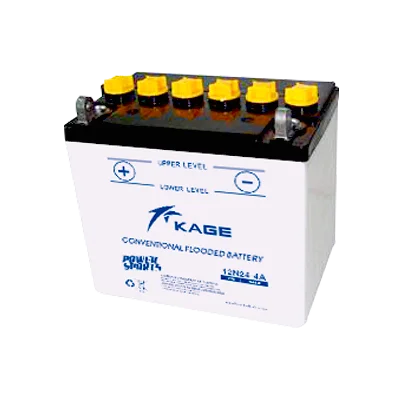 12N12A-4A-1 Motorcycle Battery 12V 12Ah Fully Automatic Trickle Battery Charger/Maintainer for Motorcycle