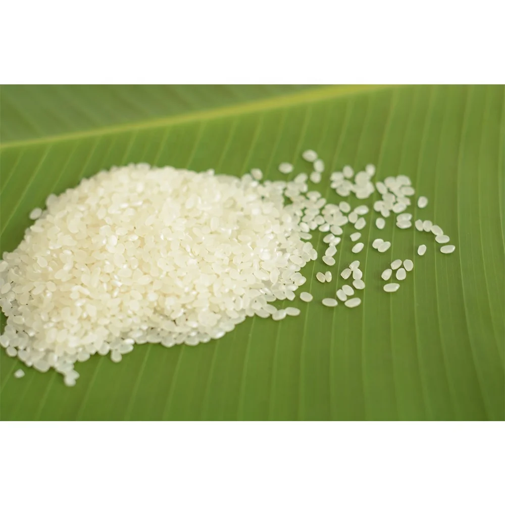 JAPONICA RICE /ROUND RICE EXPORTER FROM VIETNAM