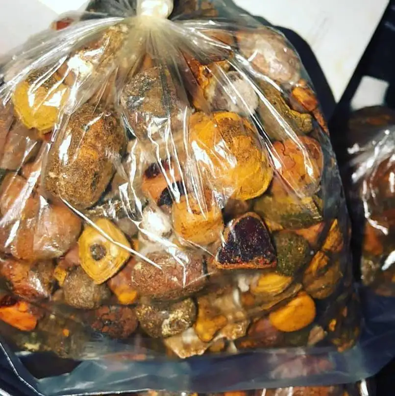 Оптовая цена желчные камни быка крупного рогатого скота коровьи