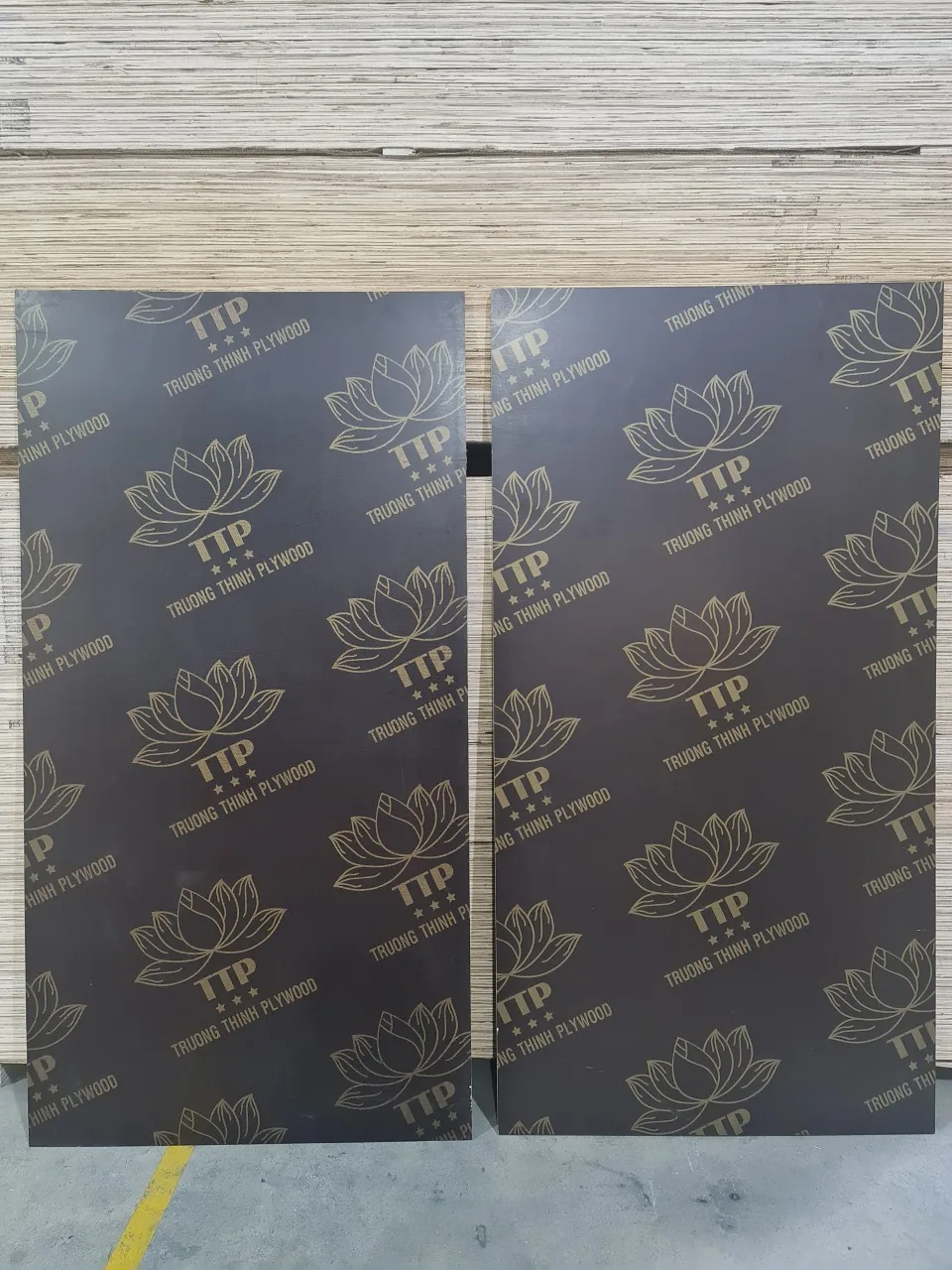 2023 Dynea Phenolic Film Face Melamine Glue WBP 12 Reused Times Eucalyptus Acacia Core Faced Plywood From Vietnam