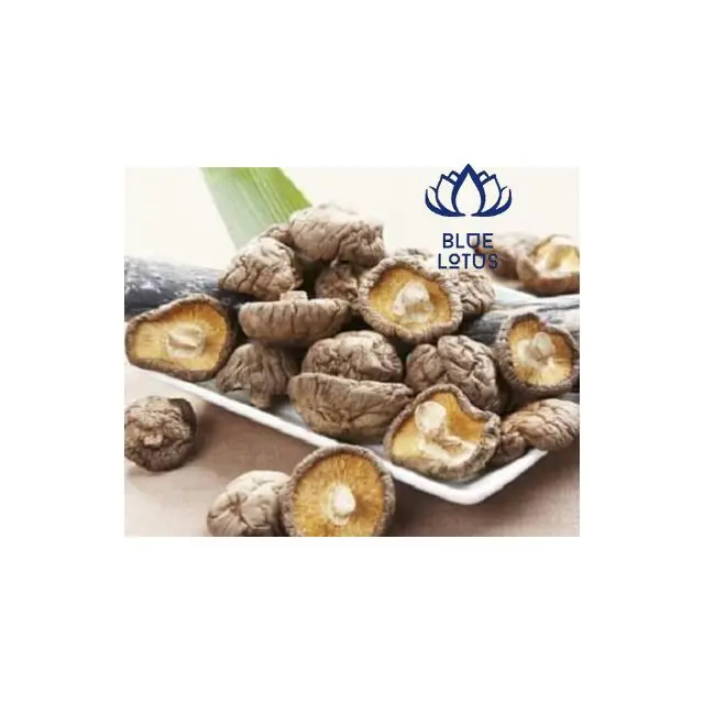 Dried Shiitake Mushroom Good Wholesale Cooking Herb