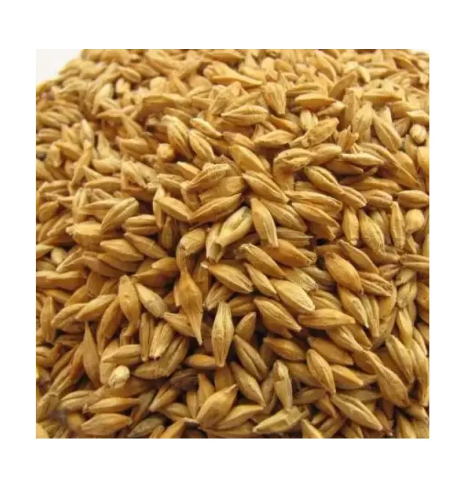 Premium Organic Barley Seeds Ideal for Feeding Dogs, Chickens, and More - Max Nutrition in Every Bag