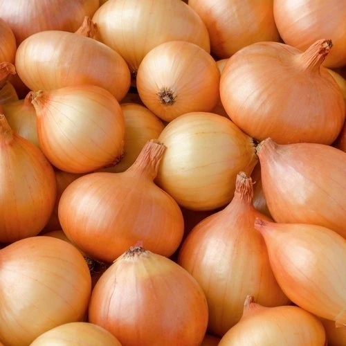 FRESH ONIONS02.jpg