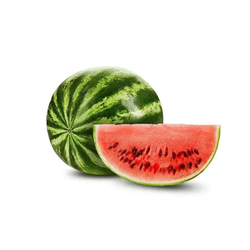 100% Natural Red Watermelon Fruit Wholesale Special Tropical Fruit Fresh Watermelon From Vietnam