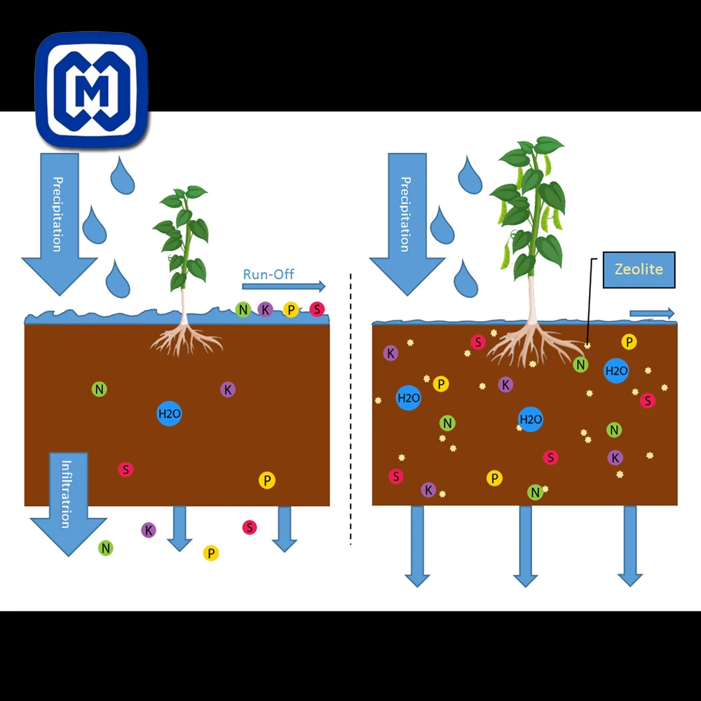 NATURAL ZEOLITE GRAVEL SIZE 2-4mm GREAT FOR AGRICULTURE USE BEIGE COLOR HIGH CEC CLINOPTILOLITE VOLCANIC MINERAL CHIP ROCK