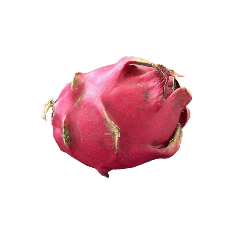 Worldwide Exporter of 100% Natural High Quality Ecuador Red Dragon Fruits for Super Market