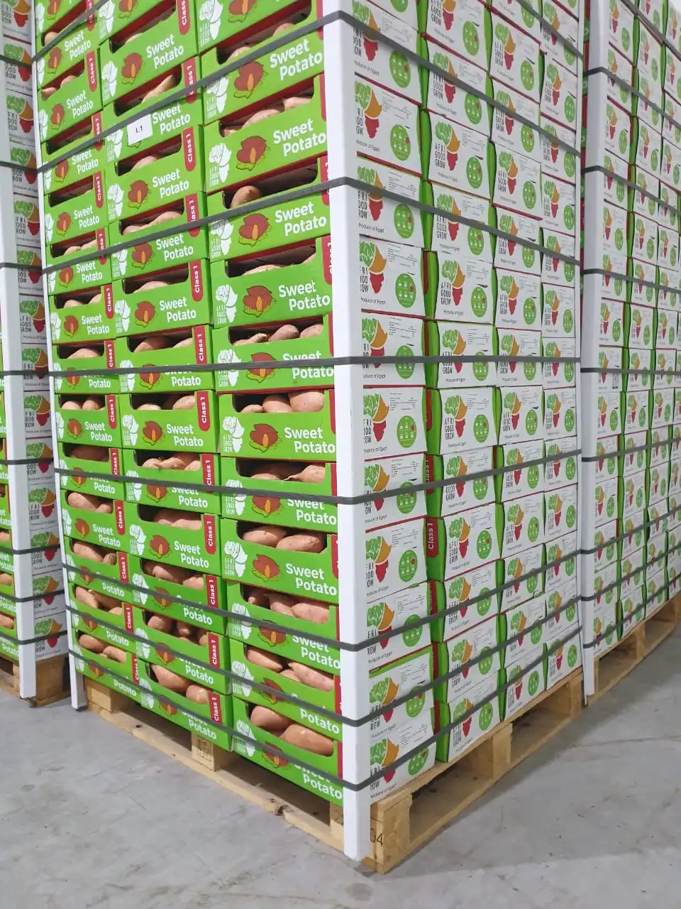 Свежий сладкий картофель из египта