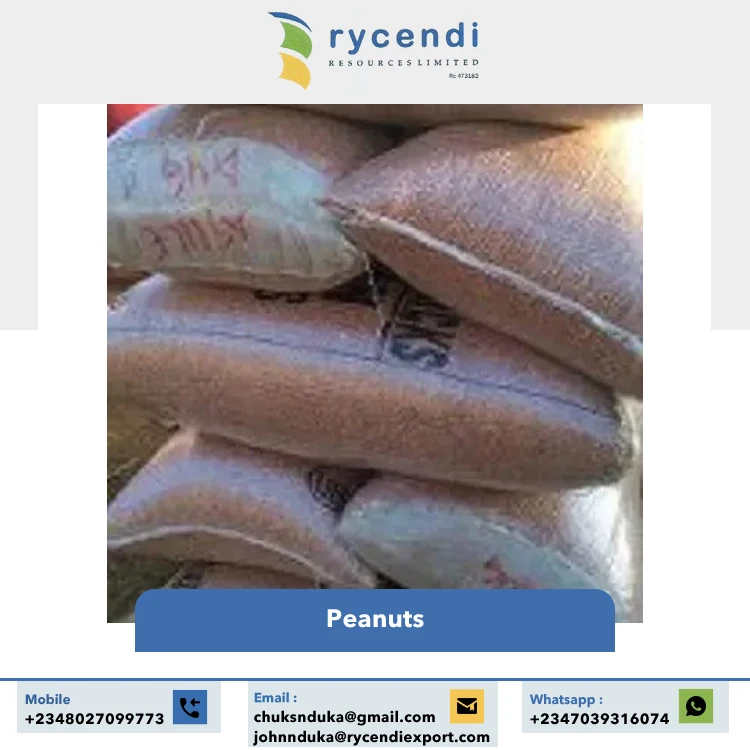 Premium Quality Common Cultivation Type Natural Color and Original Flavor Dried Raw Peanuts Supplier