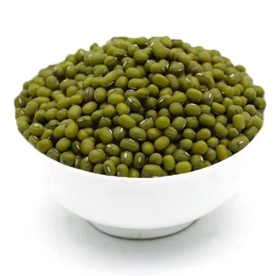 New Crop Mung Bean Seed Nice Price Ukraine Green Mung Bean Vigna Beans