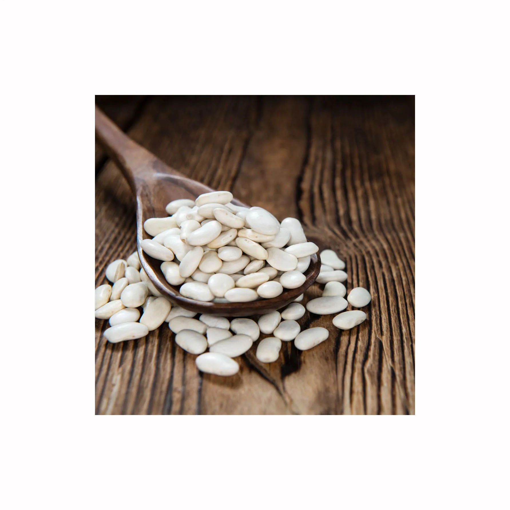 Highest Quality Natural Wholesale Top Grade White Kidney Beans For Exporting High Quality Large Big White Kidney Beans