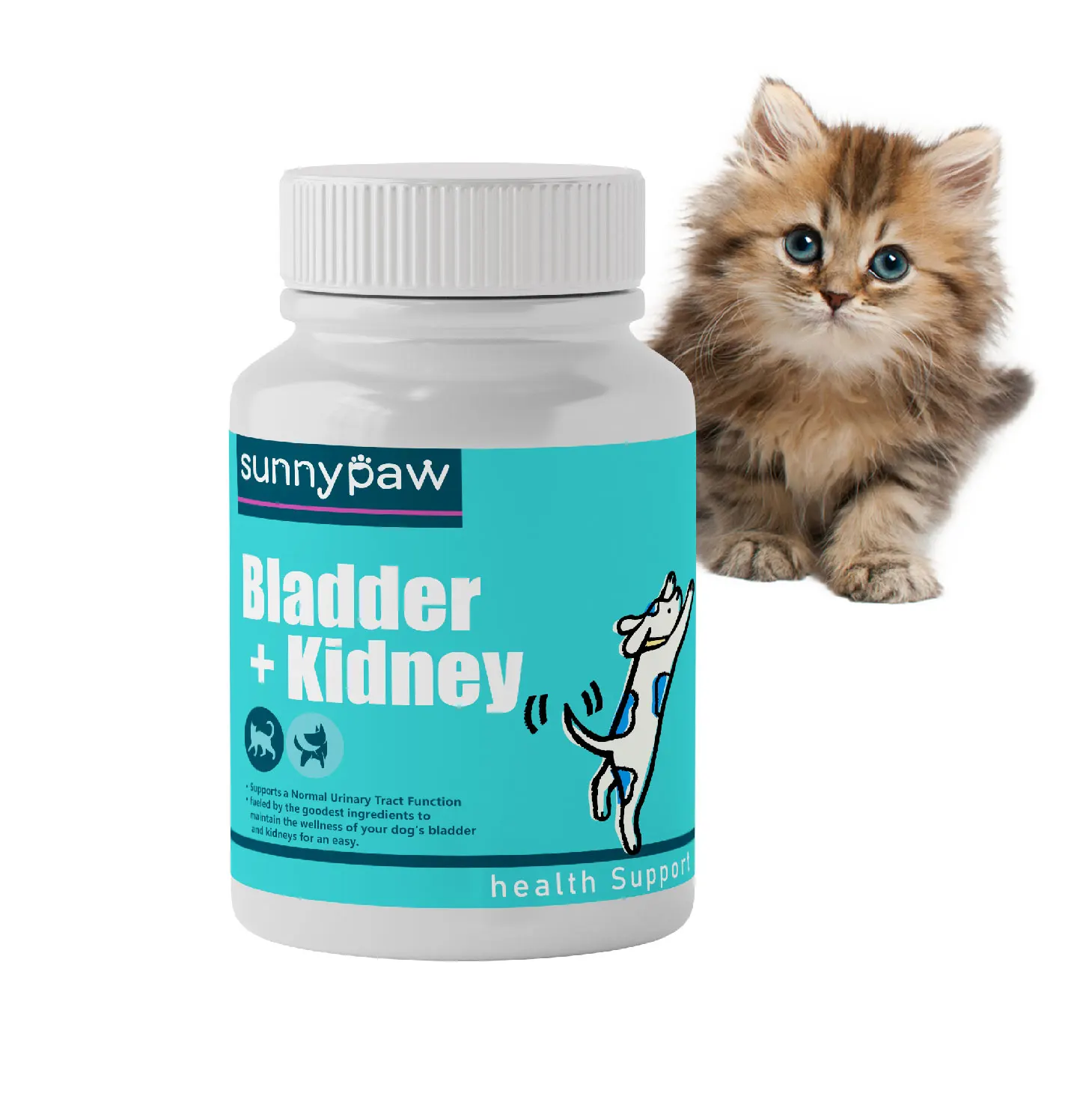 Cats and dogs use probiotic L-carnitine Cordyceps militaris extract powder to add kidney health food agent liver and kidney