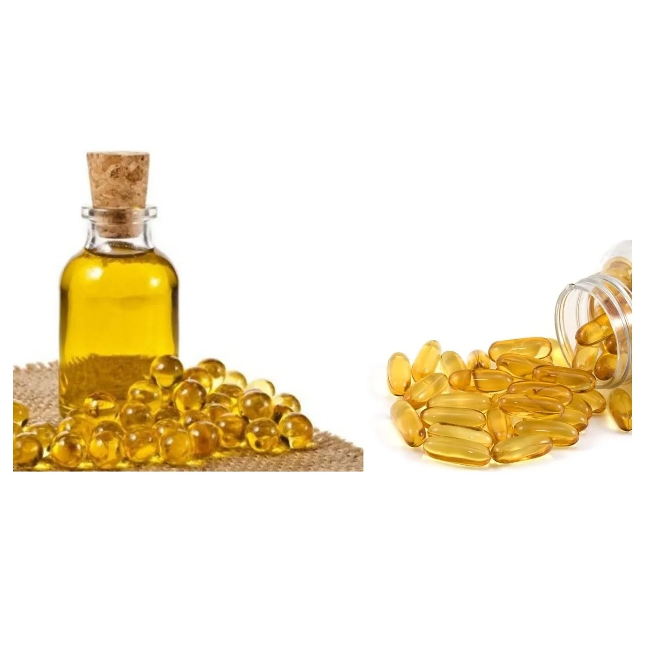 Buy Omega3 Refined Bulk Fish Oil at Best Price
