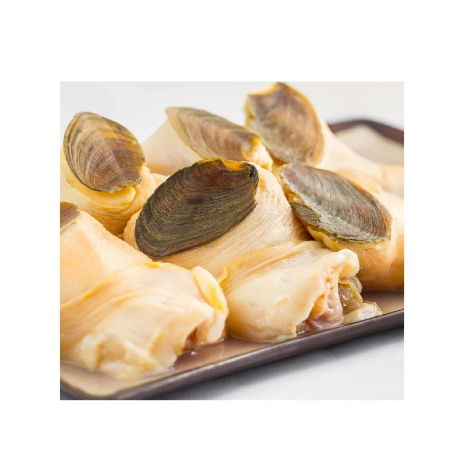 Wholesale Bulk Good Quality Seafood Frozen Seashells Snail Shells Conch