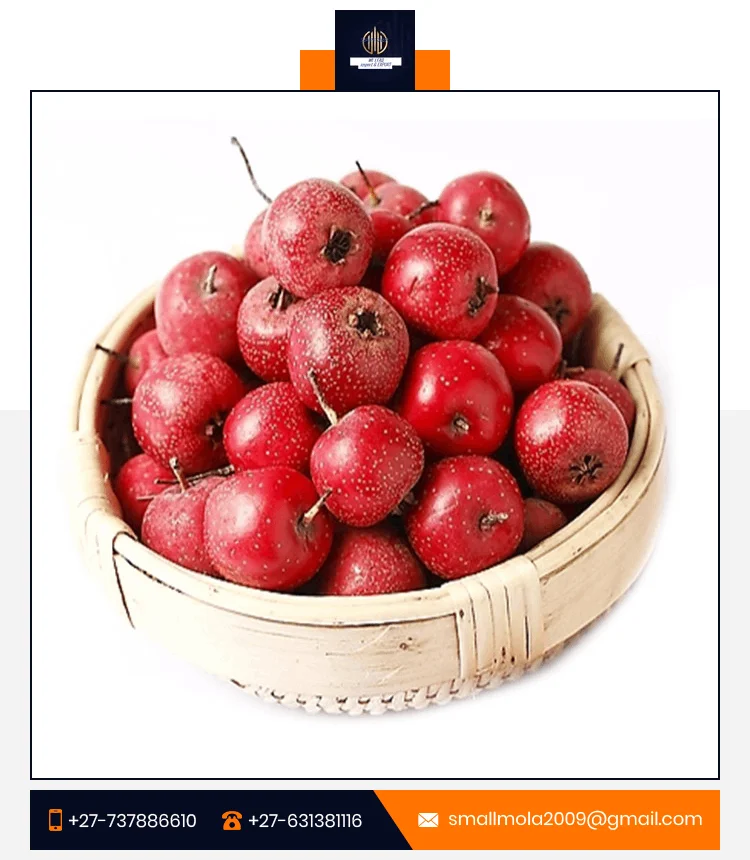 Fresh Berries 100% Natural Products Food Grade Frozen Berries Organic IQF Box Bag Packaging Frozen Fruit