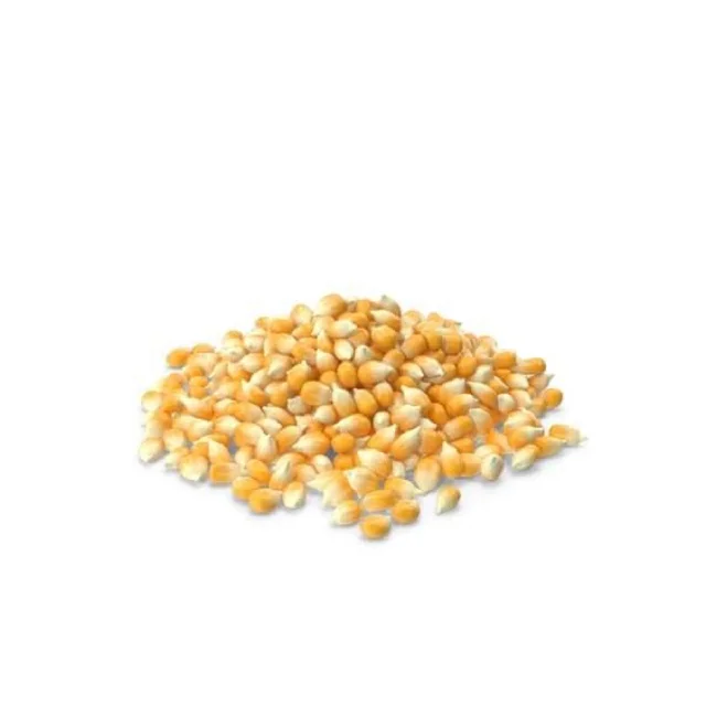 NON GMO Желтая Кукуруза для корма животных из Индии сушеная сухая низкая