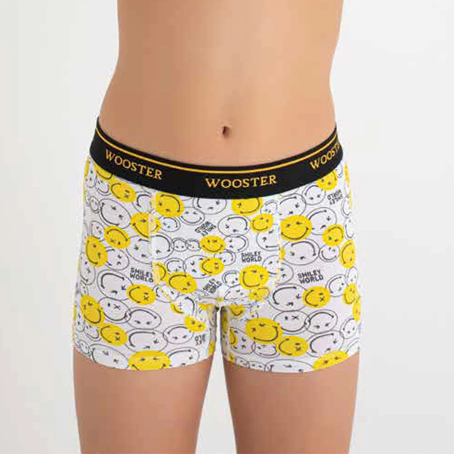 High Quality Kids Wooster-807 Underwear Boys Classic Printed Cotton Stretch Boxers Briefs Shorts Durable Comfortable Cotton Kids