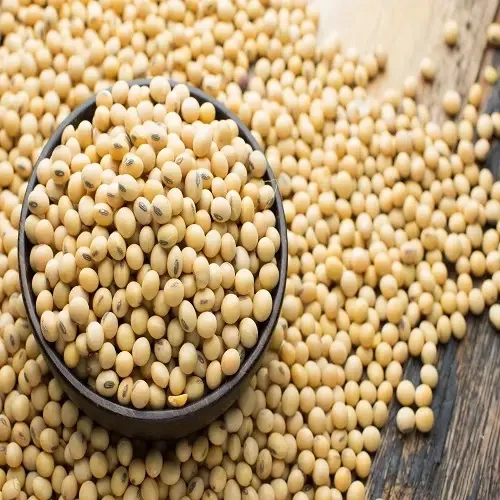 Best Quality Natural and Non- GMO Yellow Soybean Seeds / Soybean / Soya beans High Quality  Brazilian Origin Soybeans