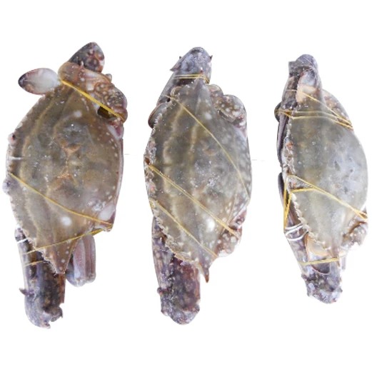 Hot Sale Live Mud Crabs, Blue Crabs, King Crabs /Live Seafood/ Frozen King Crab