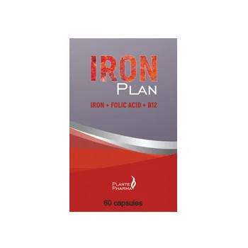 Natural source of Ferum Iron Plan vitamin B12 Folic acid in Capsules dietary supplement private label manufacturer OEM