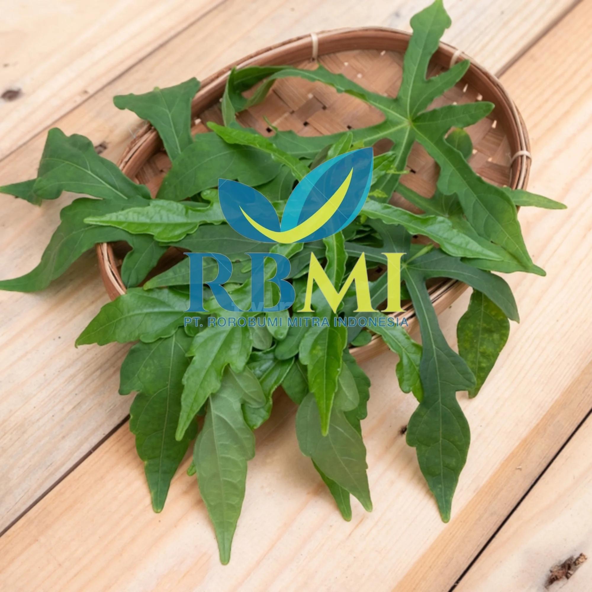 Export High Quality Papaya Leaf/ Papaya Flower for Wholesale/ Dried Papaya Flower