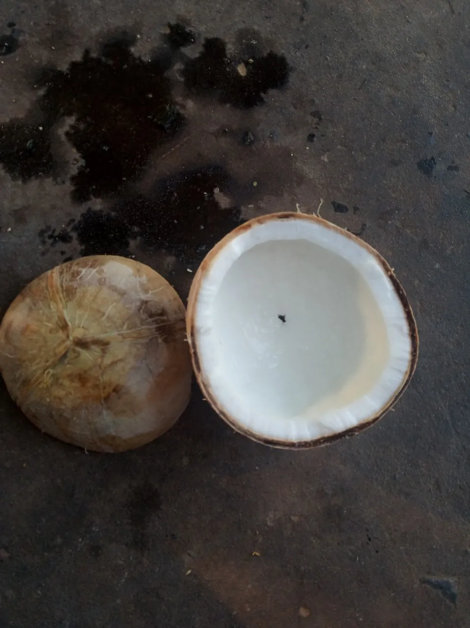 Экспортер тропических фруктов/органический полуочищенный зрелый кокос/свежий коричневый кокос из Вьетнама (Whatsapp 84 366 808 683)