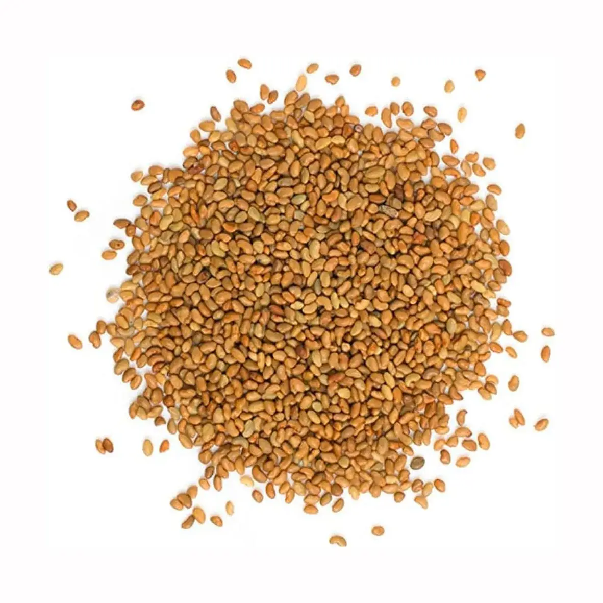 Best Price Barley Grains Premium Barley Seeds Buy Now In Stock Low Price Malted Barley Fast Delivery Wholesale Available