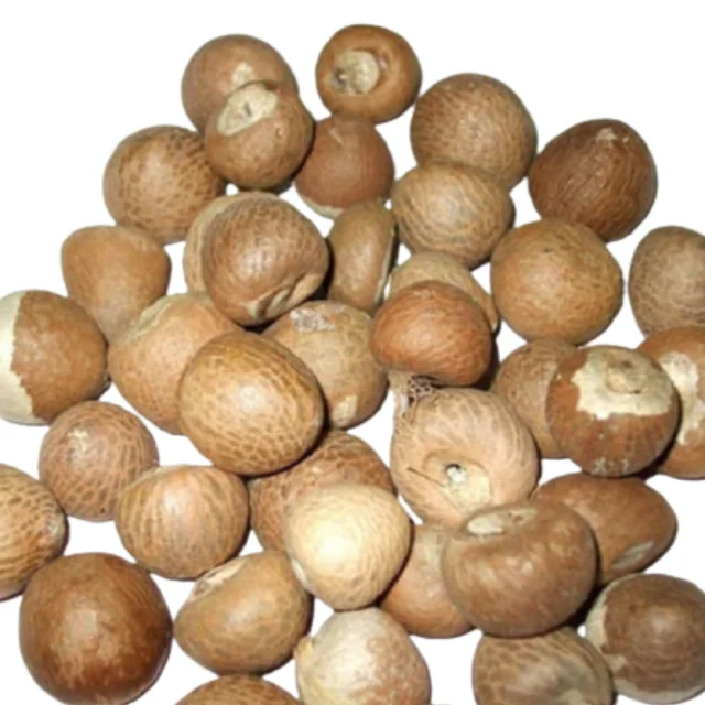 Brown Color Betel Nuts SIZE 70/75 Best Price Wholesale Price Indonesia