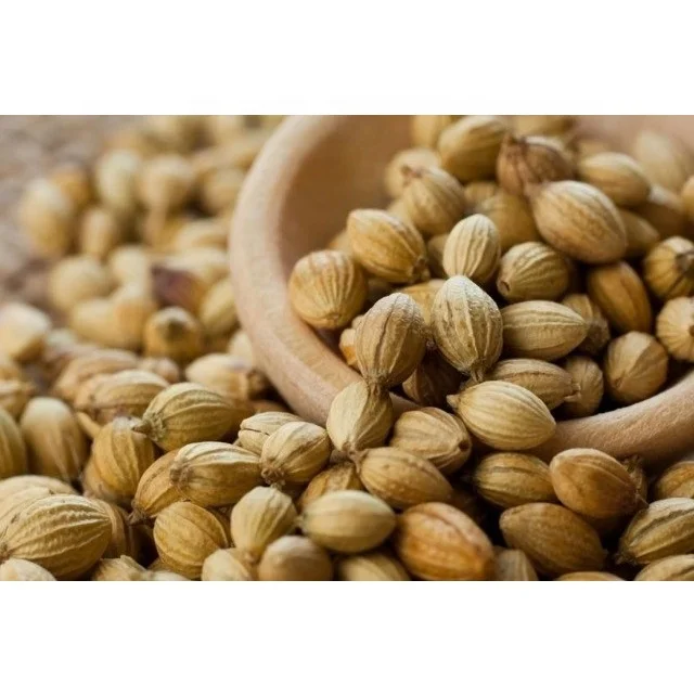 High Quality Dried Coriander Good Quality Coriander Spice Wholesale Supplier From India Wholesale