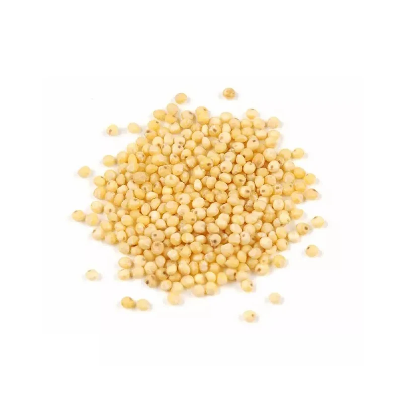 Quality Low Cost Origin Direct Sales Wholesale Protein Natural Food Grade Organic
