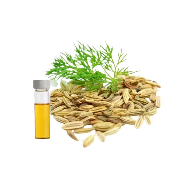 Buy Fully Organic Dill Seed Oil For Multi Purpose Usable Oil Top Grade Manufacture in India Low Prices By Exporters