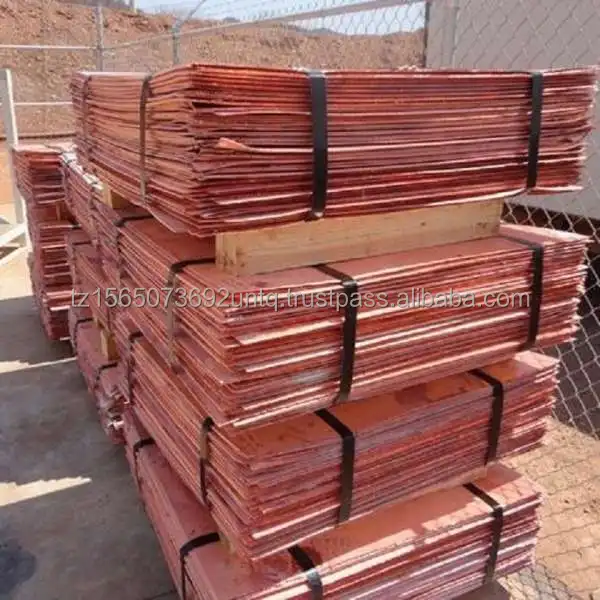 product-1014478.jpg