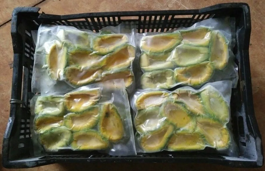 2023 высокое качество низкая цена IQF вьетнамский замороженный авокадо от Голубой фермы лотоса