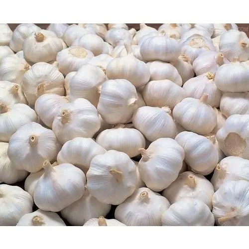 white garlic