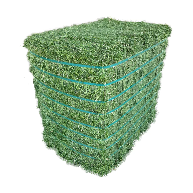 Премиум сеновые тюки и гранулы Alfalfa сушеная свежая трава