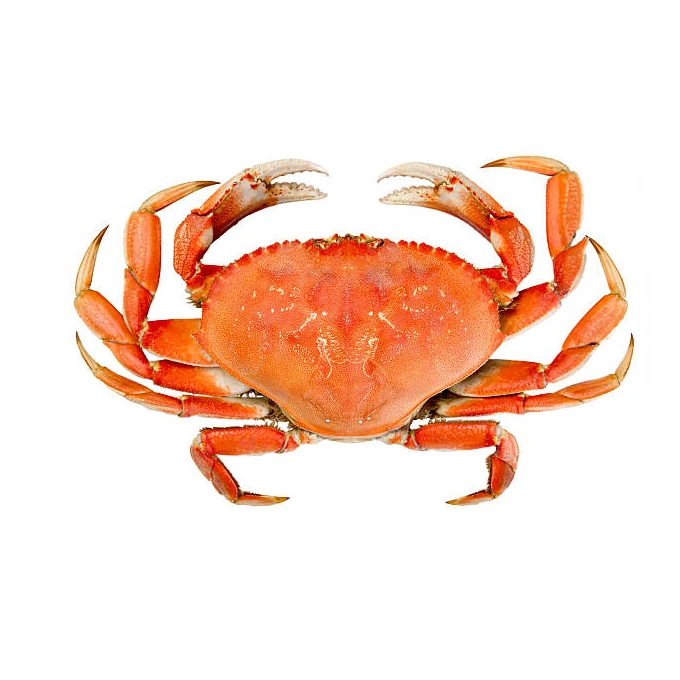 Лидер продаж, крабы из живой грязи, синяя упаковка в замороженном стиле, вес полки, оригинальный тип жизни, разные продукты, картонная модель места