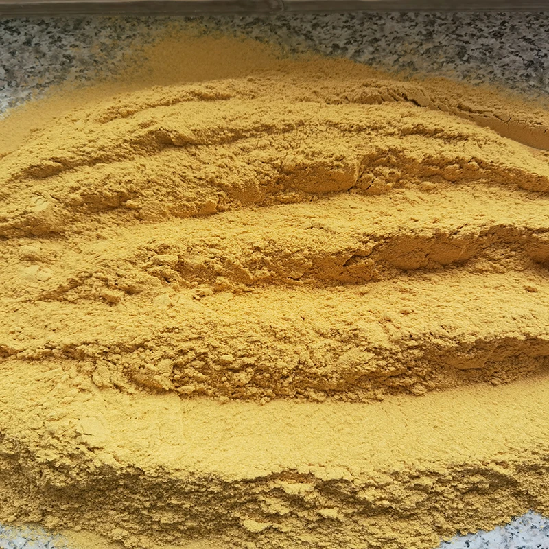 corn gluten meal 60% feed grade  poultry meal feed additive and animal feed