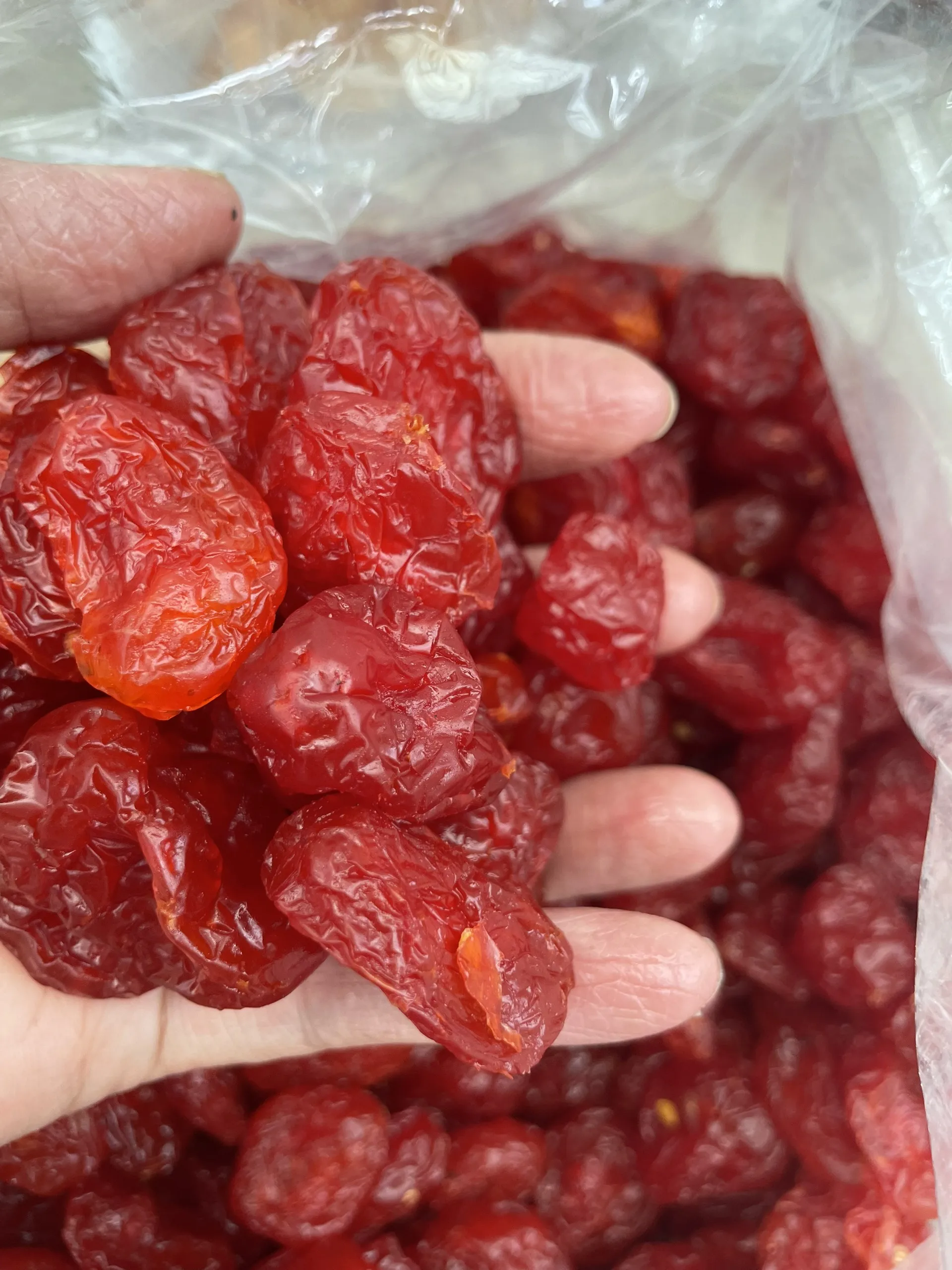 PREMIUM QUALITY Soft dried cherry tomatoes Semi dried grape tomato 100% Natural Cherry tomatoes