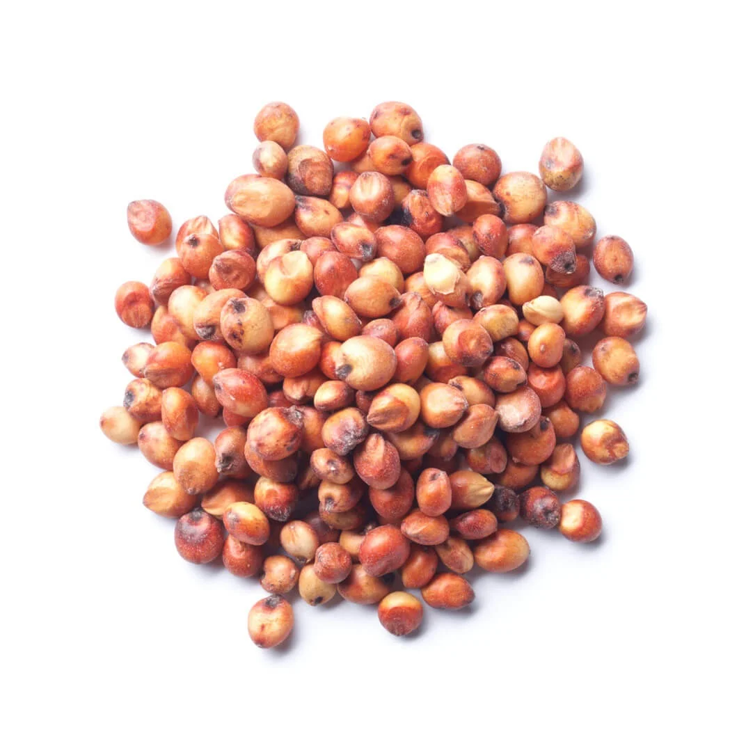 Buy good quality Sorghum White Milo Sorghum Grains Sorghum Price Per Ton for sale